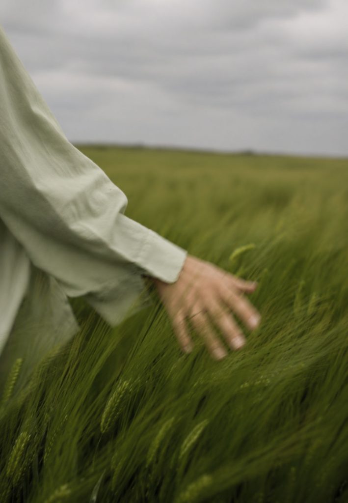 Walk in field